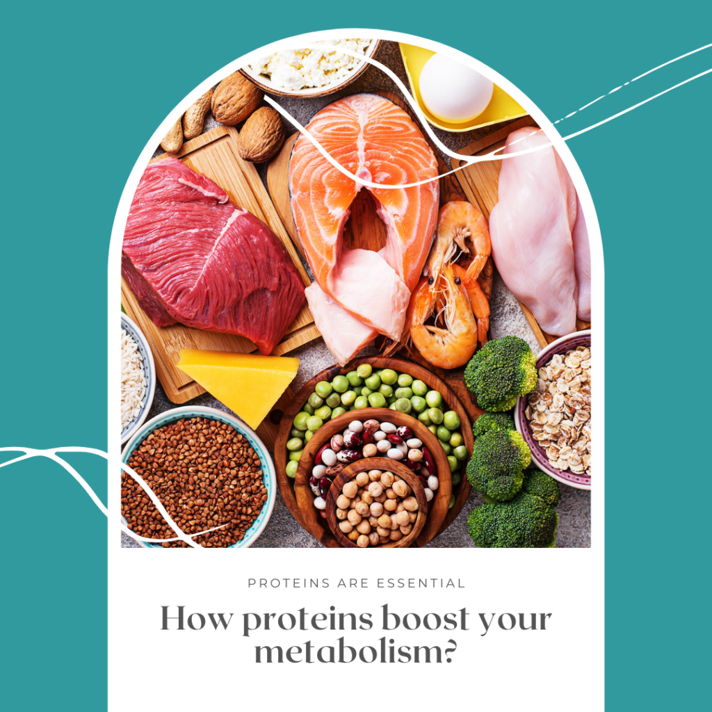 How proteins boost your metabolism?