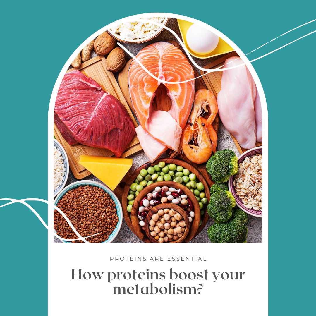 how-protein-boost-your-metabolism-nutritiousinfo