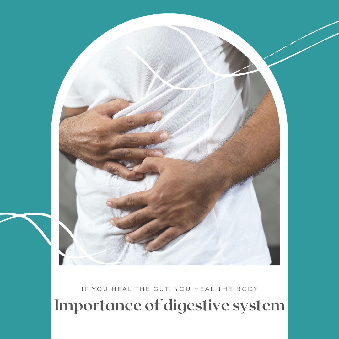 importance of digestive system