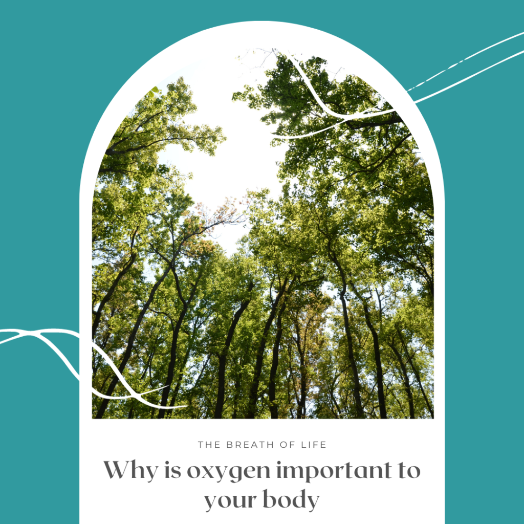 Why is oxygen important to your body